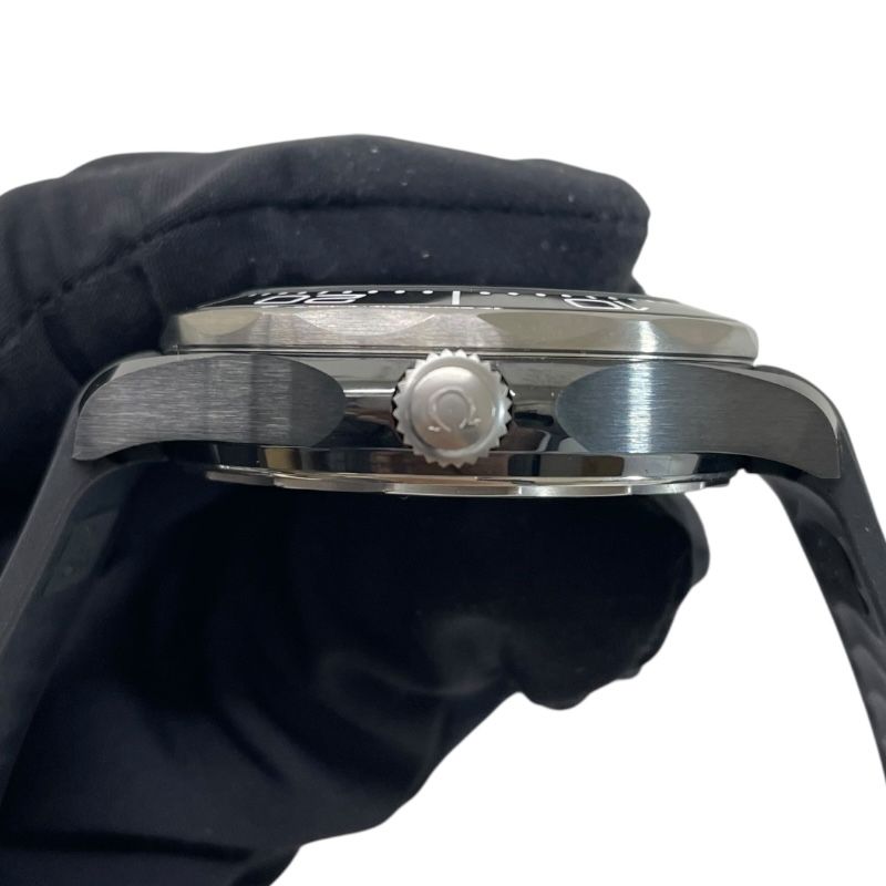 OMEGA Seamaster Diver 300M - Exquisite Black Ceramic Timepiece