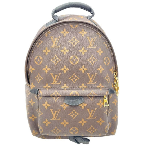 Louis Vuitton Palm Springs PM Backpack - Monogram Brown