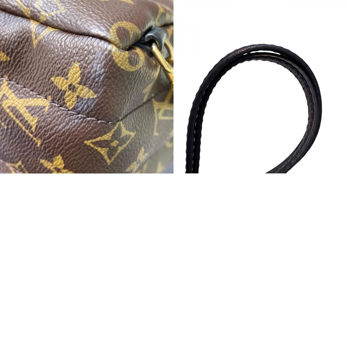 Louis Vuitton Palm Springs Mini Backpack - Monogram Brown
