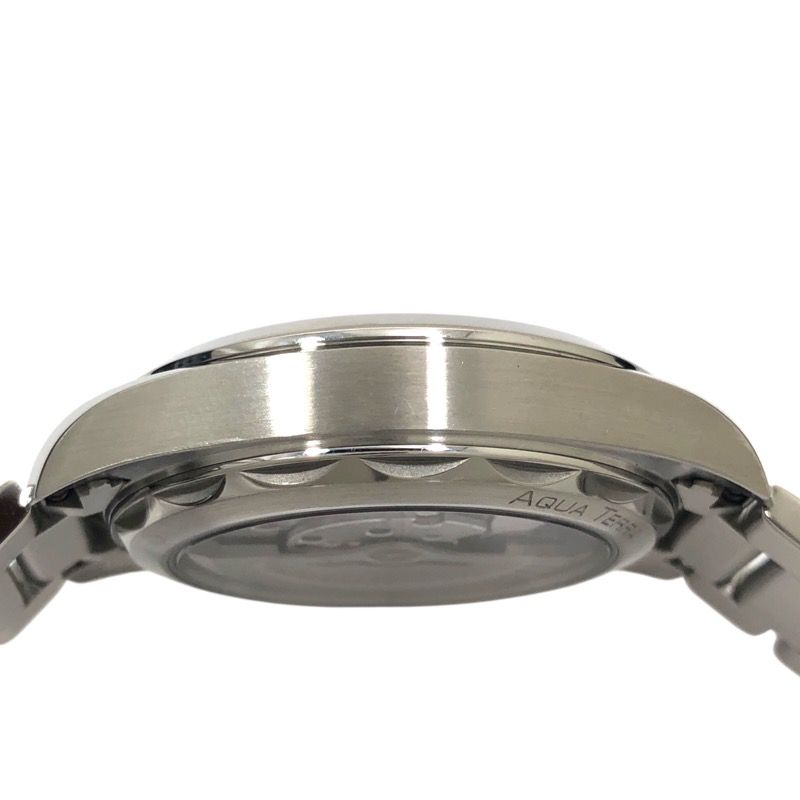 OMEGA Seamaster Aqua Terra Master Chronometer Green Dial Men's Watch