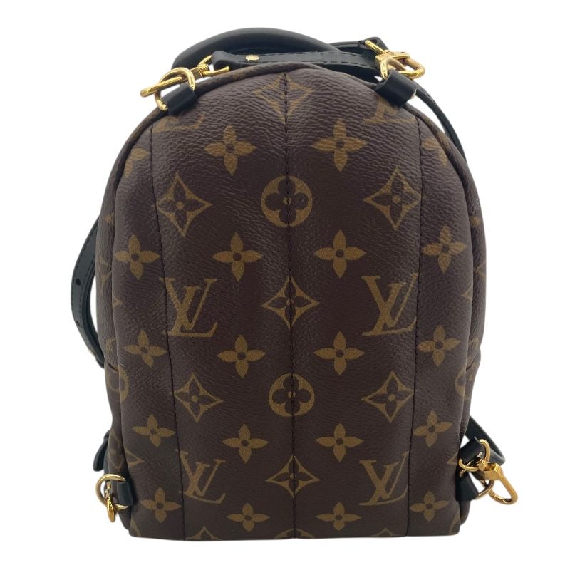 Louis Vuitton Palm Springs Mini Backpack - Monogram Brown