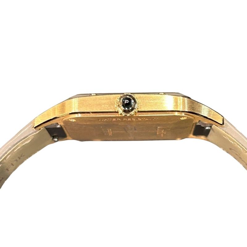 Cartier Santos-Dumont LM WGSA0097 - Exquisite Men's Watch