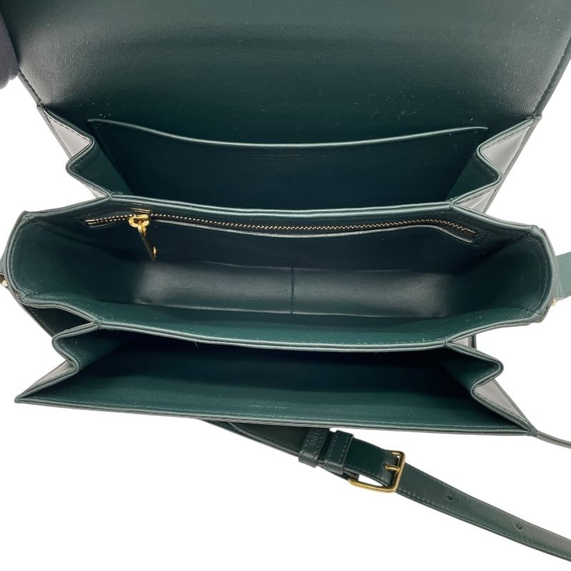 CELINE Classic Triomphe Bag in Amazon Shiny Calfskin