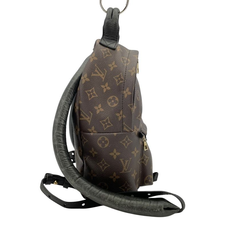 Louis Vuitton Palm Springs PM Backpack - Monogram Canvas - Brown