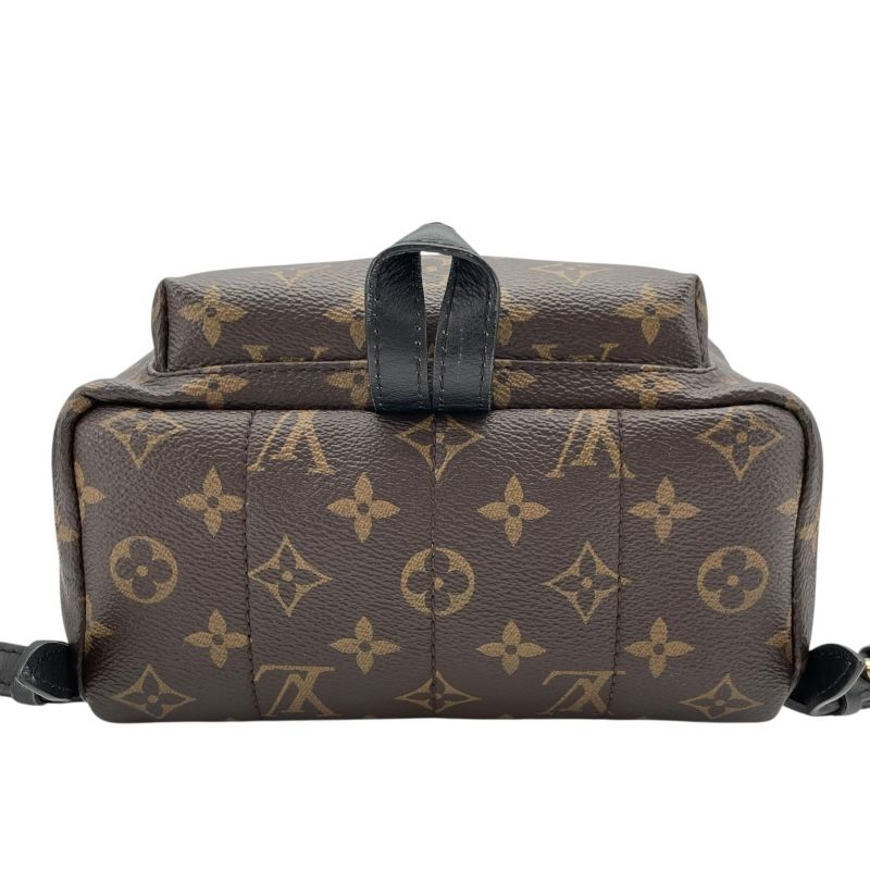 Louis Vuitton Palm Springs PM Backpack - Monogram Canvas - Brown