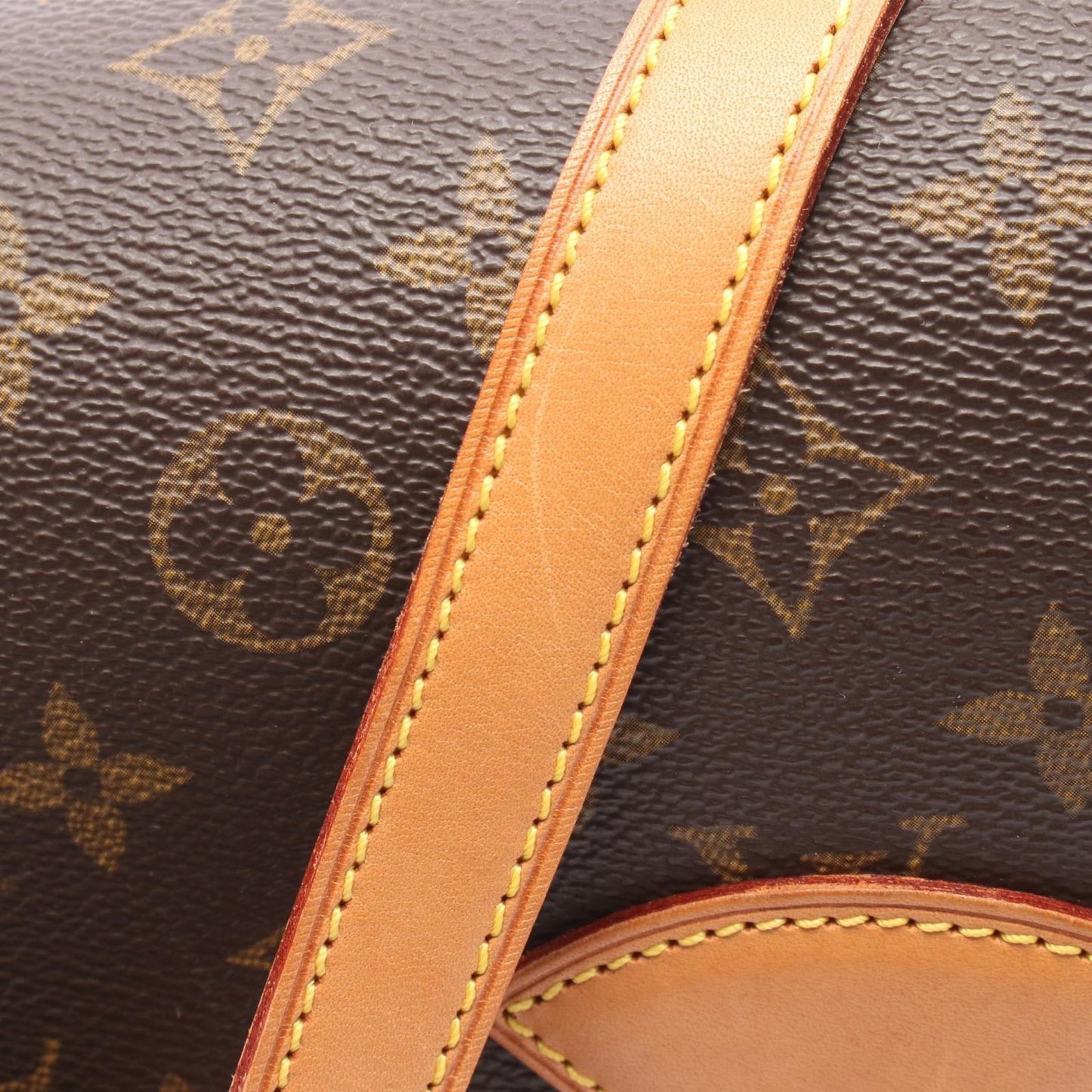 Louis Vuitton Monogram Salony Shoulder Bag - Timeless Elegance