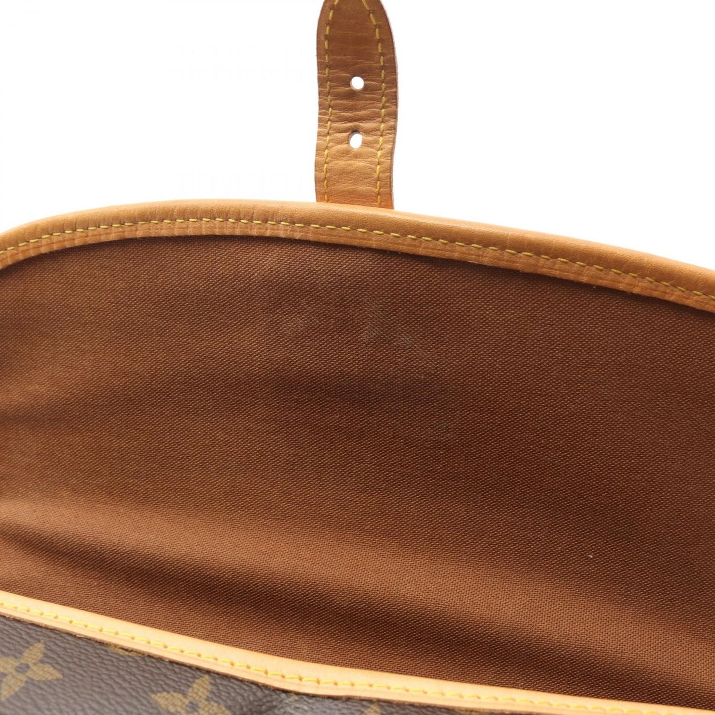 Louis Vuitton Monogram Salony Shoulder Bag - Timeless Elegance