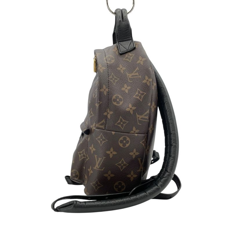 Louis Vuitton Palm Springs PM Backpack - Monogram Canvas - Brown