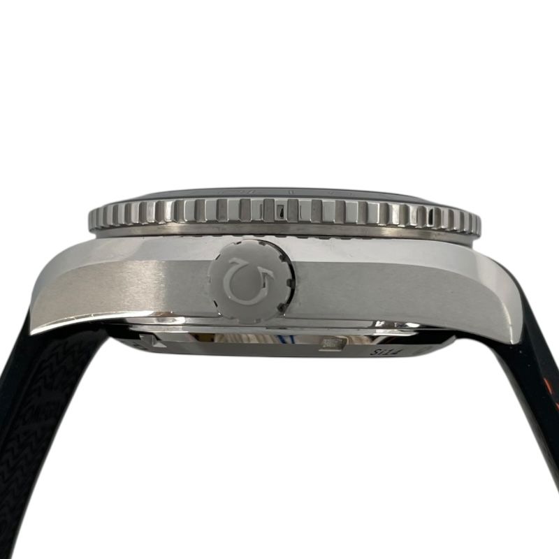 OMEGA Seamaster Planet Ocean 600M Co-Axial GMT - Black Dial, Automatic