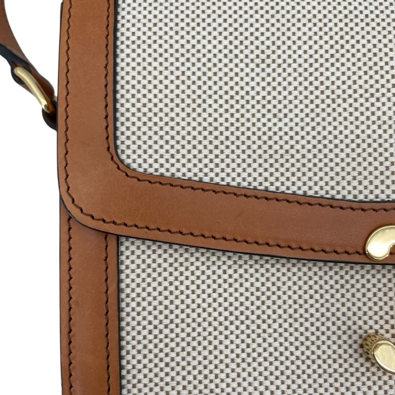 CELINE Classic Triomphe Bag in Natural Tan Textile - Timeless Elegance
