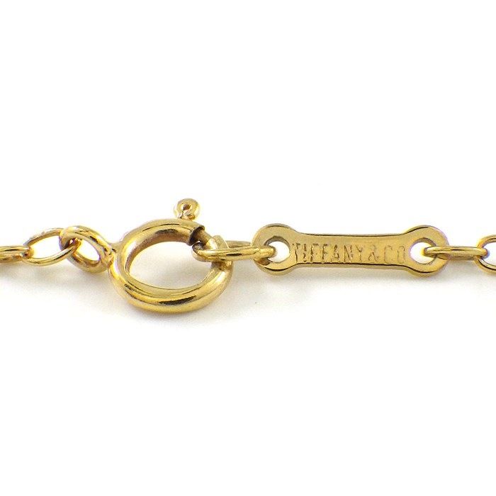 Tiffany & Co. Apple Large Long Necklace in K18 Yellow Gold