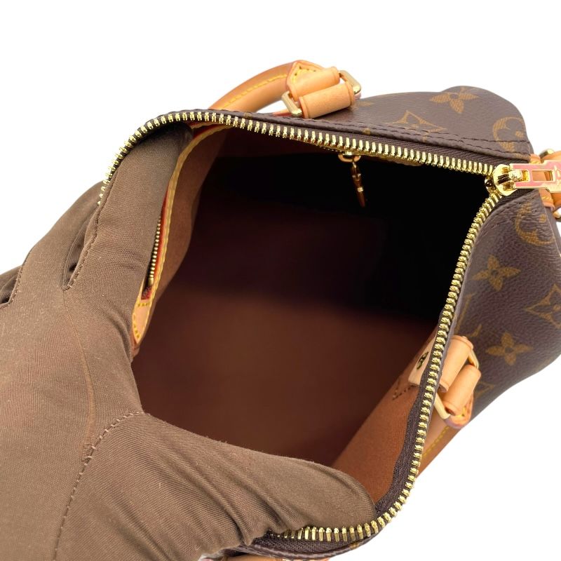 Louis Vuitton Speedy Bandoulière 25 Monogram Canvas Handbag