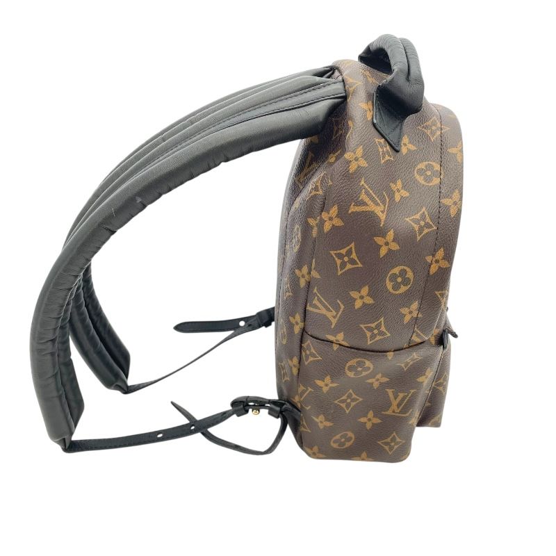 Louis Vuitton Palm Springs PM Backpack - Monogram Brown
