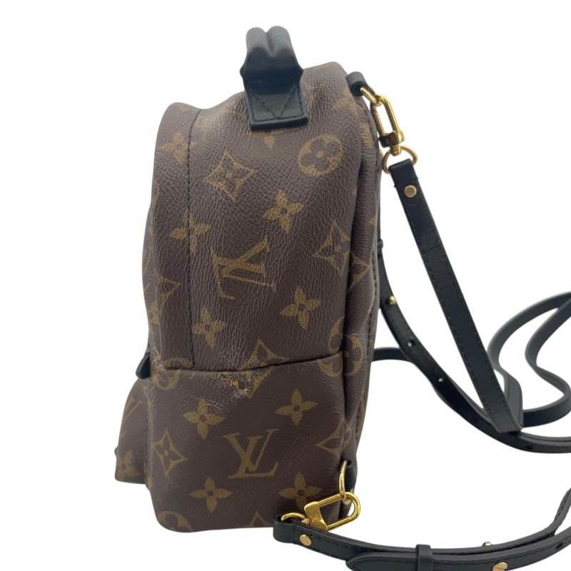 Louis Vuitton Palm Springs Mini Backpack - Monogram Brown