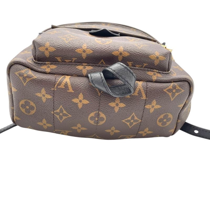 Louis Vuitton Palm Springs PM Backpack - Monogram Brown