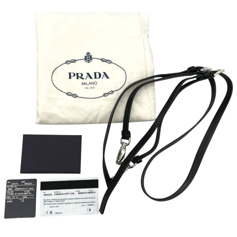PRADA Uvertchure Handbag 1BG234 in White Canvas - Exquisite Luxury