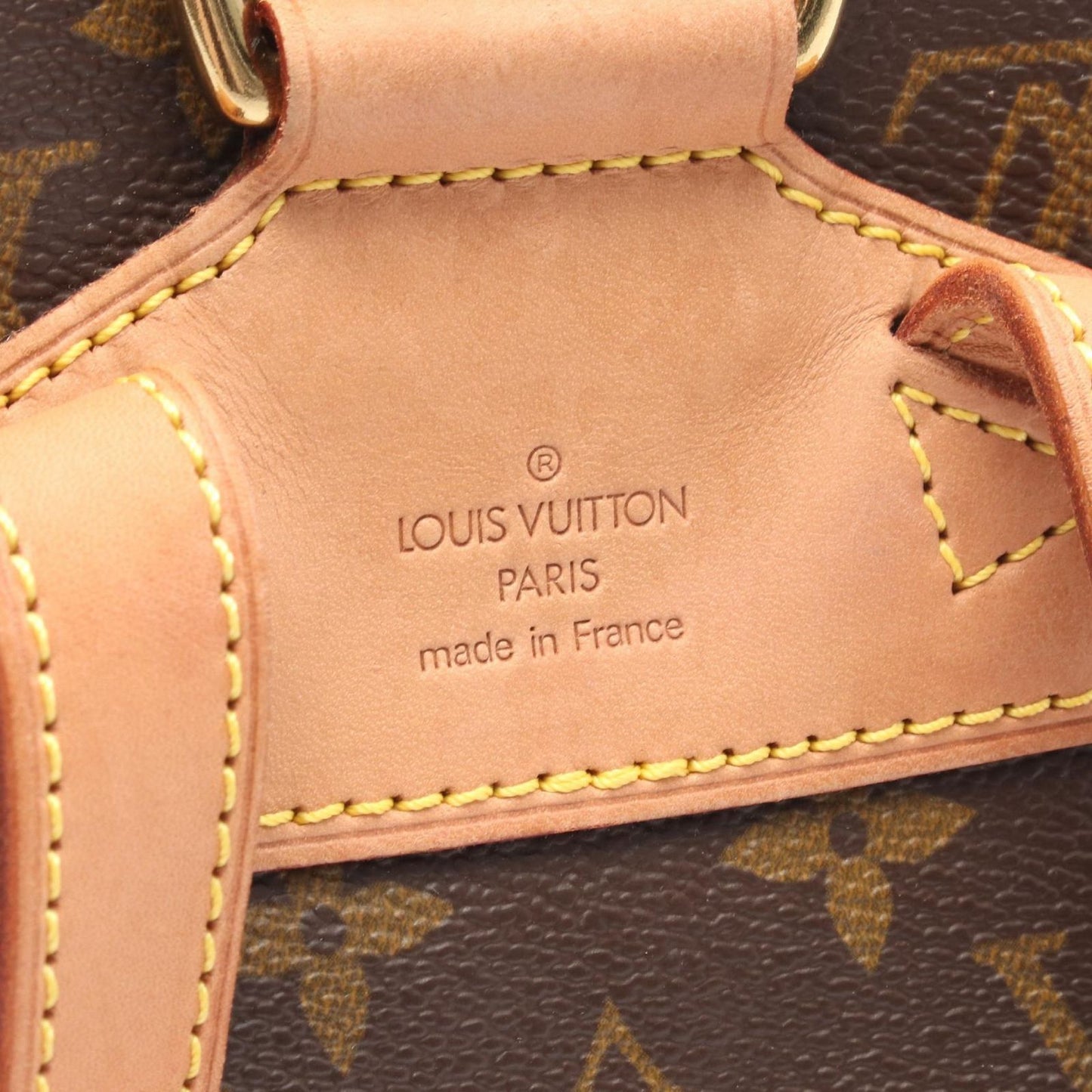 Louis Vuitton Monogram Montsouris MM Backpack - Timeless Elegance