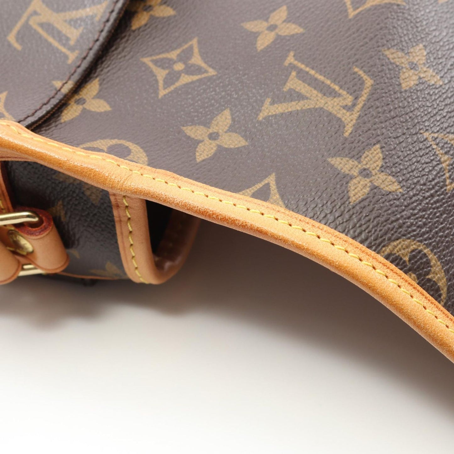 Louis Vuitton Monogram Salony Shoulder Bag - Timeless Elegance