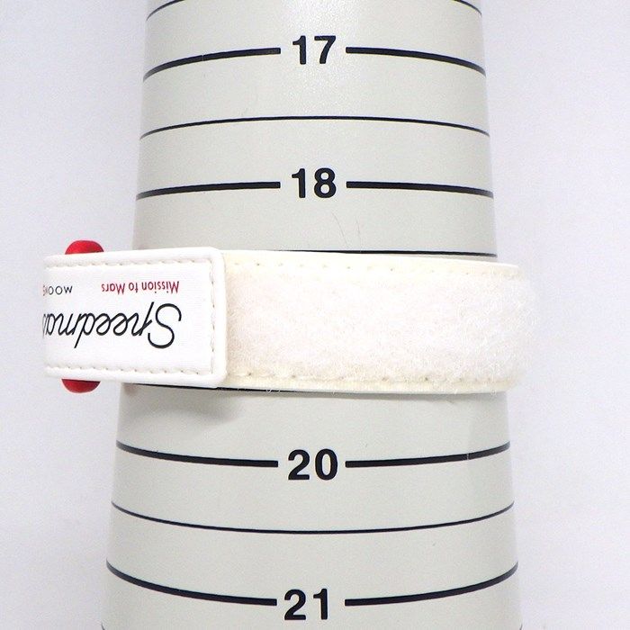 Swatch×OMEGA Speedmaster Mission to Mars Moonwatch SO33R100