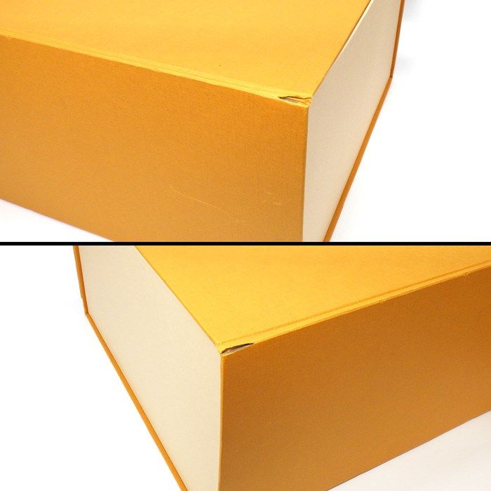 Louis Vuitton Speedy Bandoulière 25 in Turtlerail Monogram Empreinte