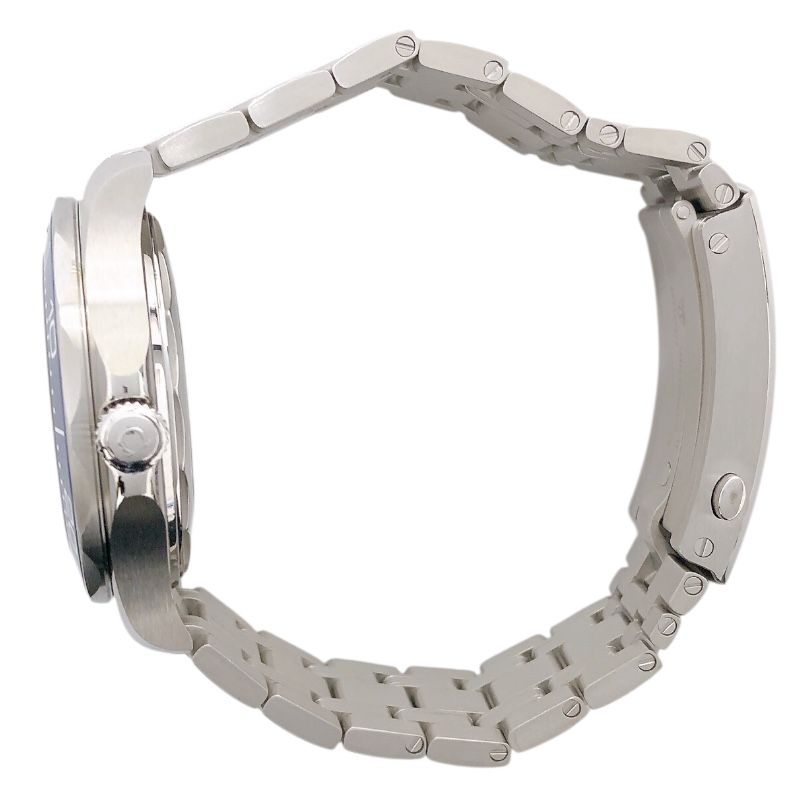 OMEGA Seamaster Diver 300M Co-Axial Master Chronometer - Men's Watch