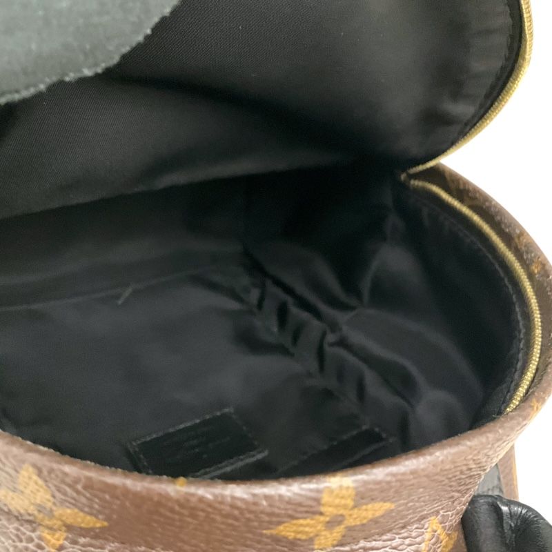 Louis Vuitton Palm Springs Mini Backpack - Exquisite PVC Craftsmanship