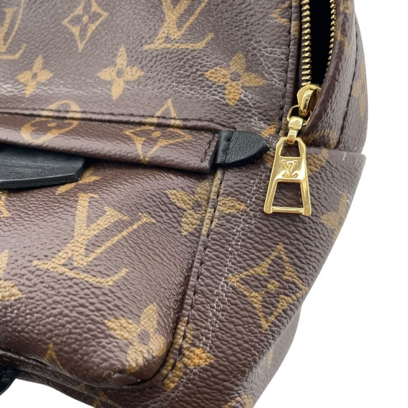 Louis Vuitton Palm Springs Mini Backpack - Monogram Brown
