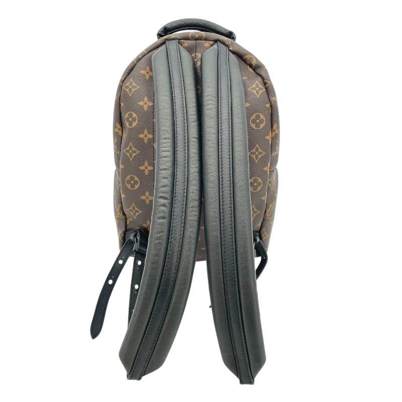 Louis Vuitton Palm Springs PM Backpack - Monogram Brown