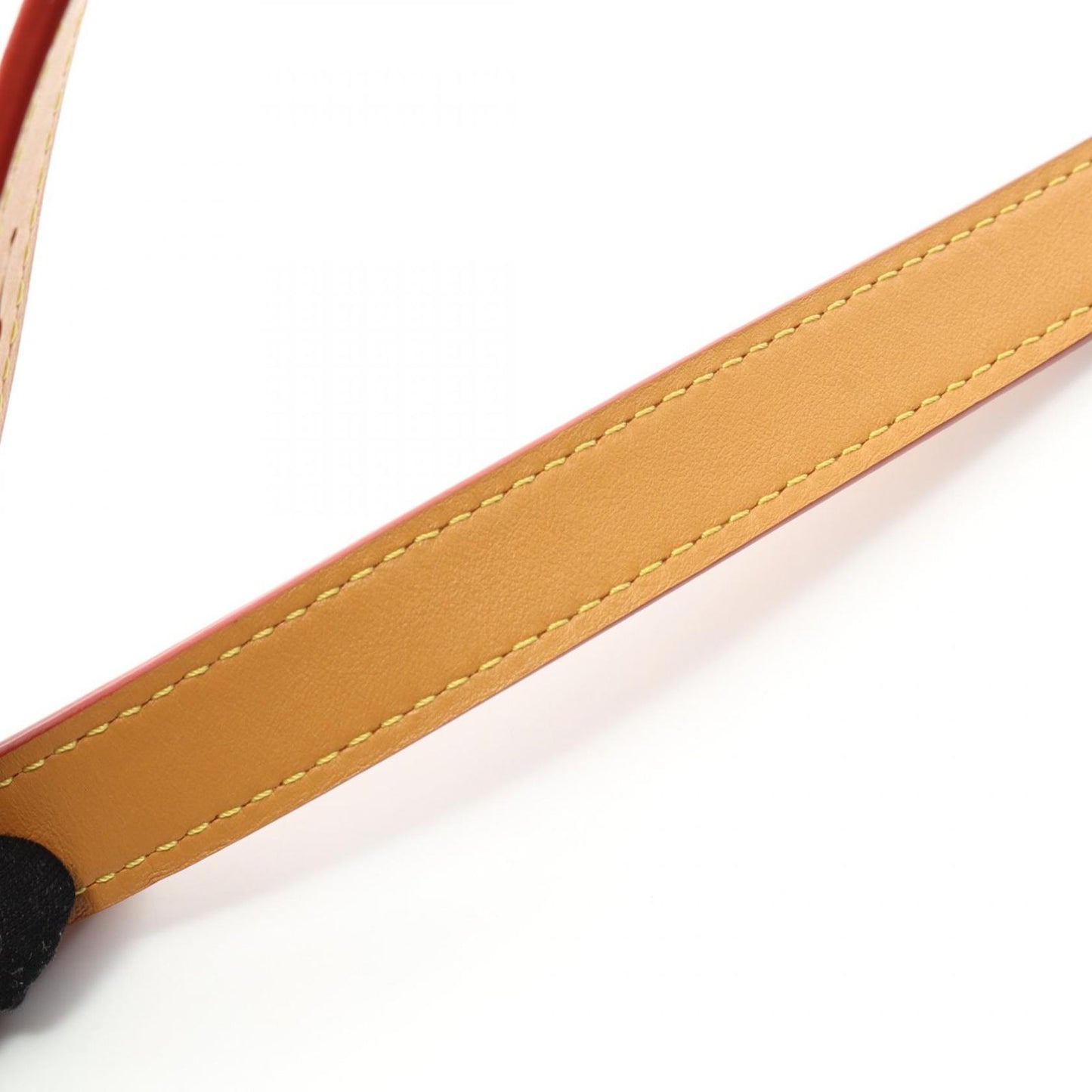 Louis Vuitton Soft Trunk 'This Is Not Monogram' Shoulder Bag