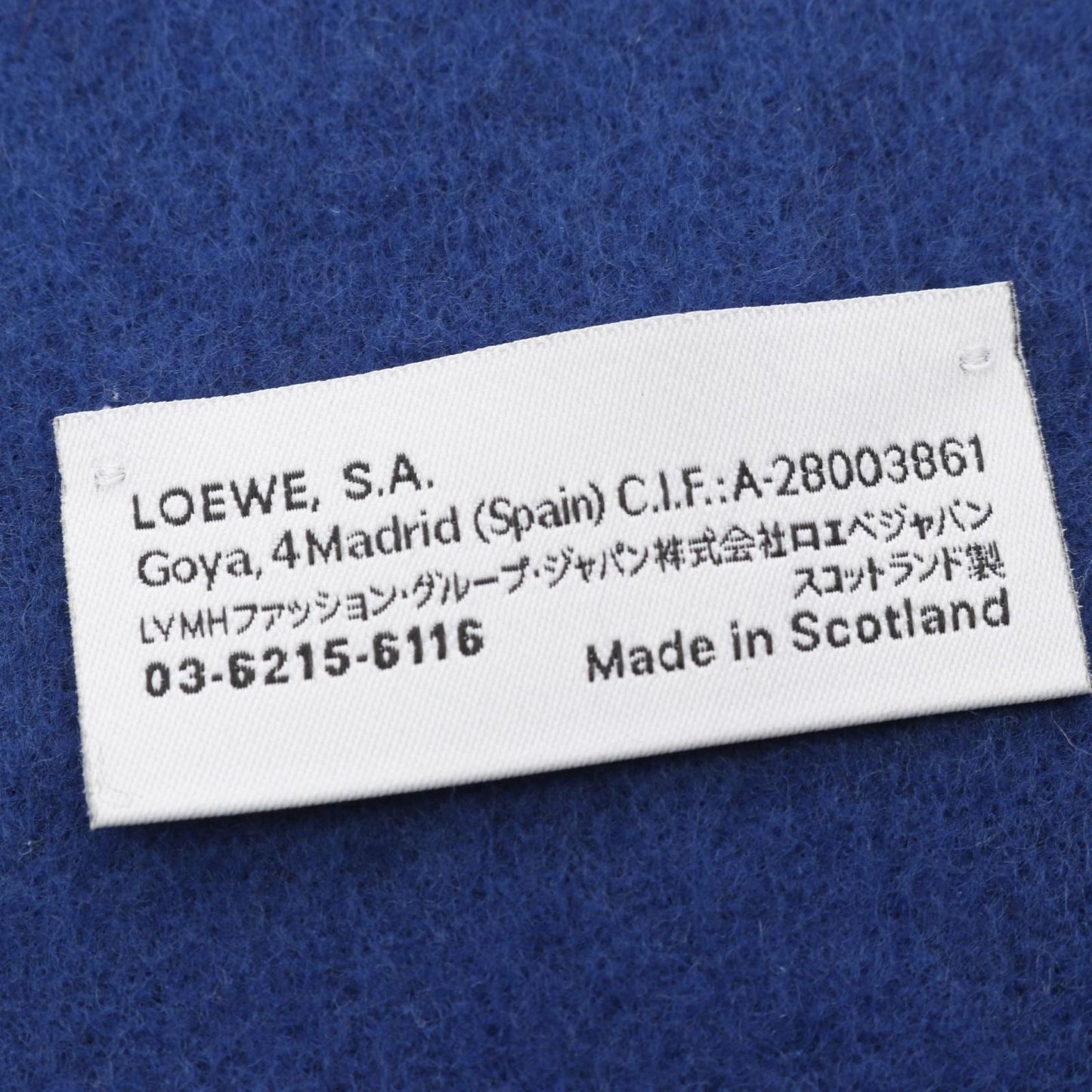 LOEWE Anagram Wool & Cashmere Scarf in Blue & Yellow