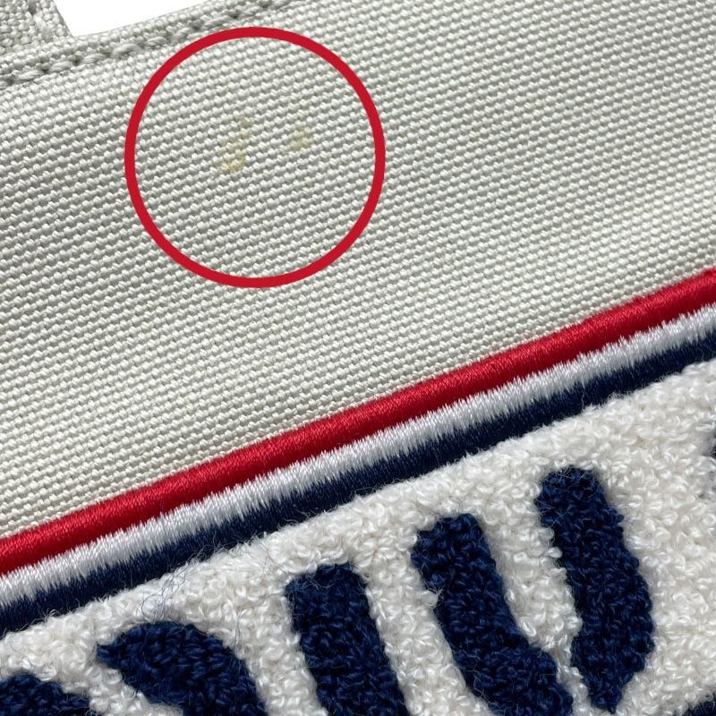 Miu Miu 2WAY Handbag in Light Grey Canvas - Timeless Elegance