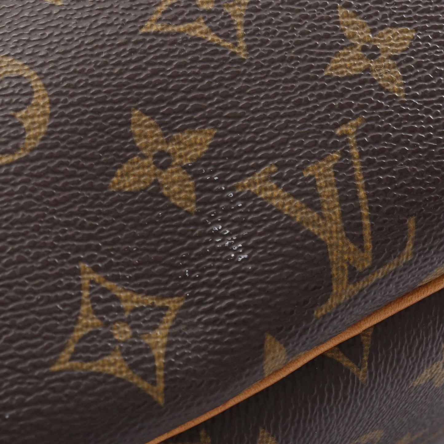 Louis Vuitton Exquision Handbag M41450 - Timeless Elegance