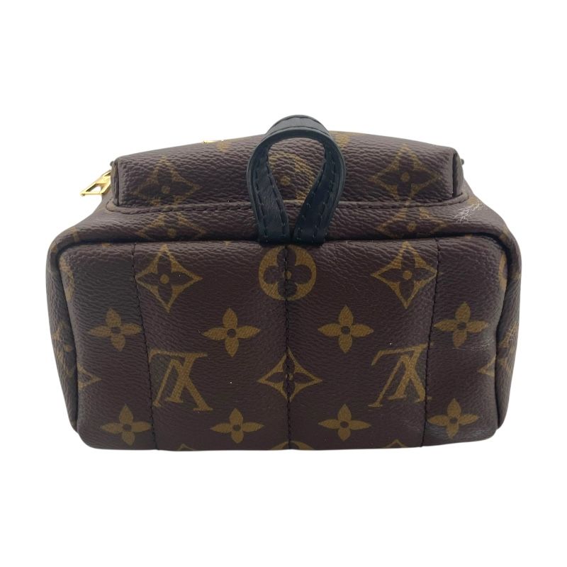 Louis Vuitton Palm Springs Mini Backpack - Monogram Brown