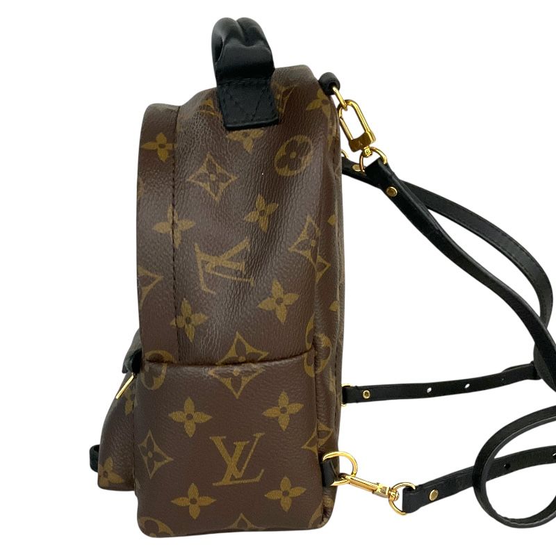 Louis Vuitton Palm Springs Mini Backpack - Exquisite PVC Craftsmanship