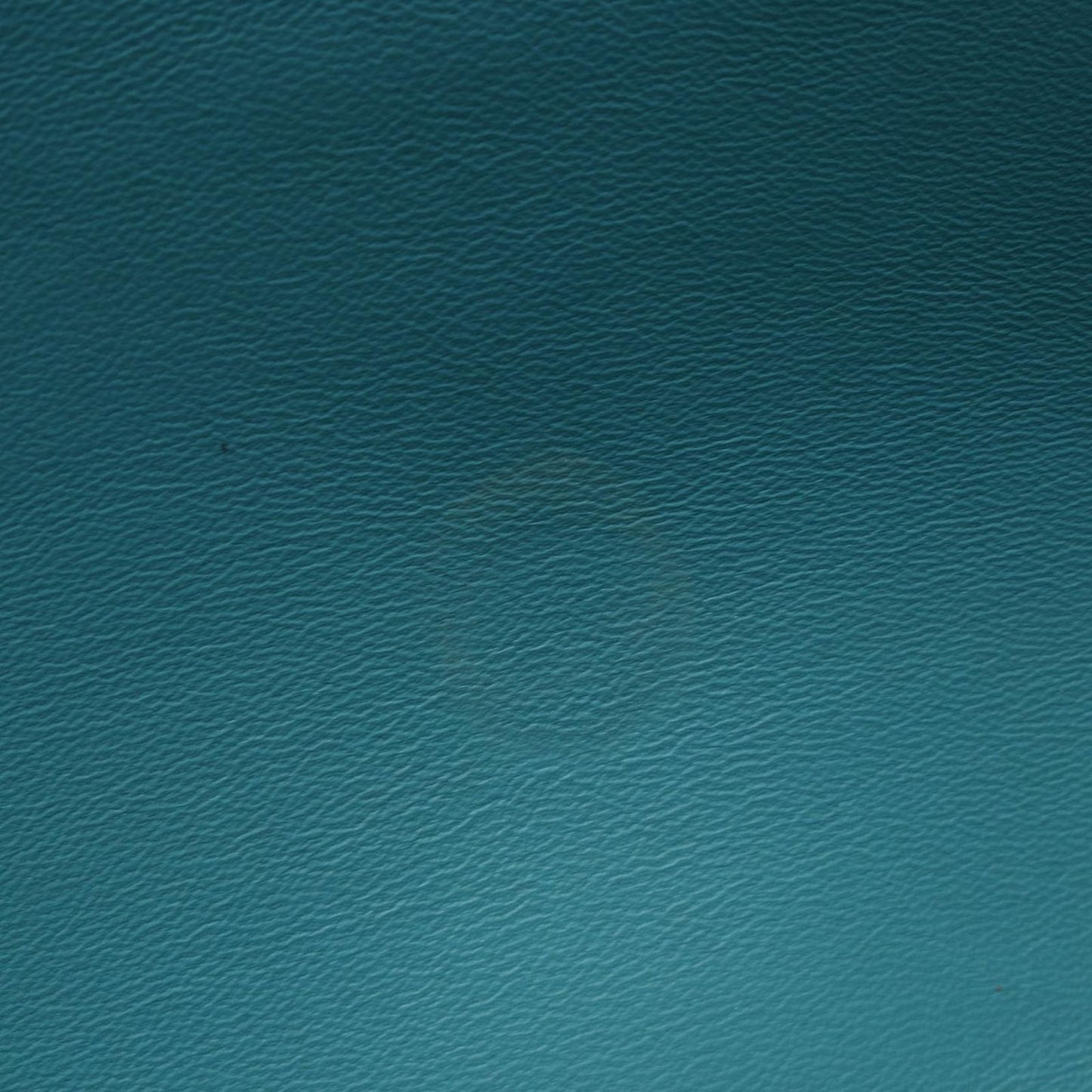 CHANEL Classic De Camellia 30 Large W Flap Shoulder Bag - Blue