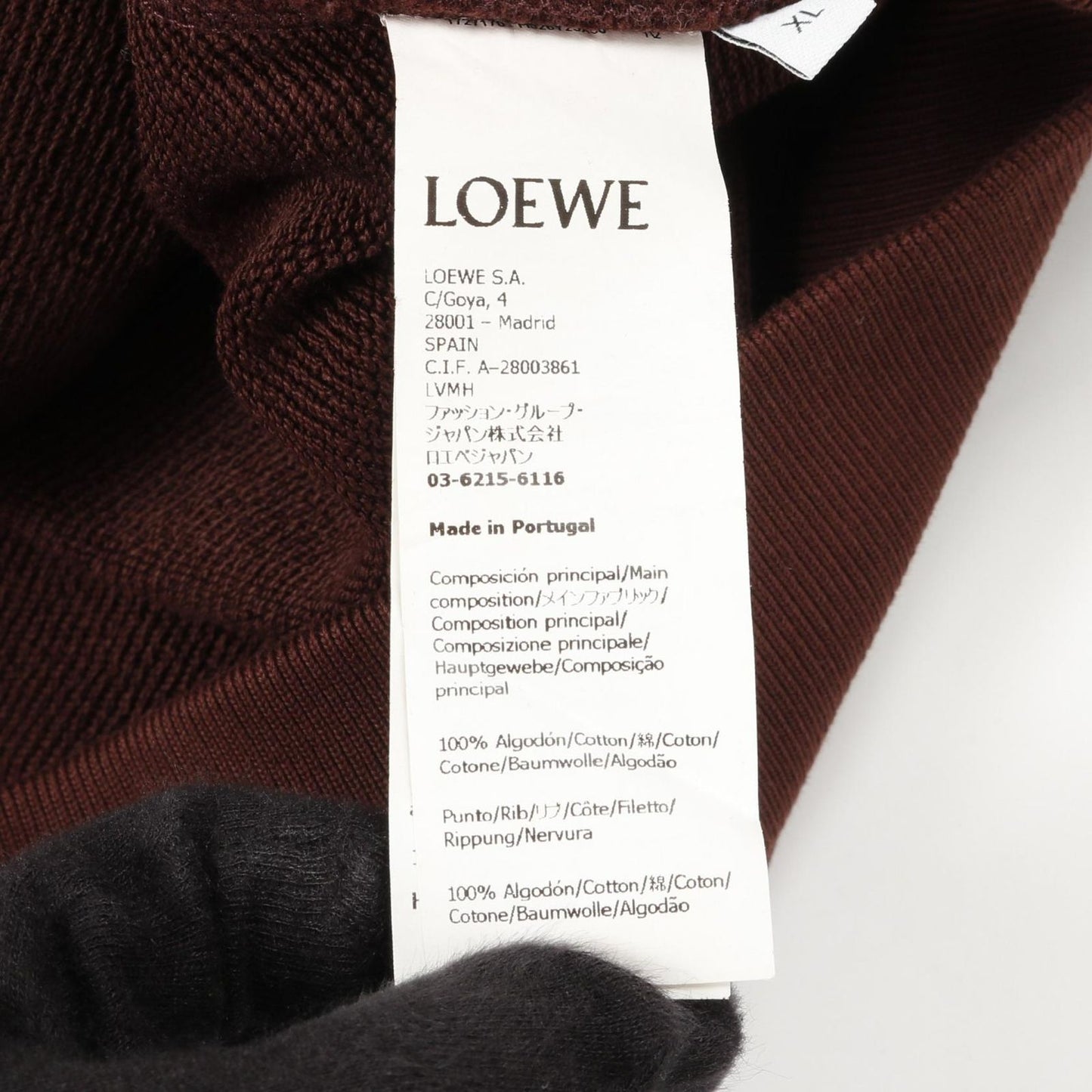 LOEWE Relaxed Fit Hoodie in Brown Cotton - Timeless Elegance