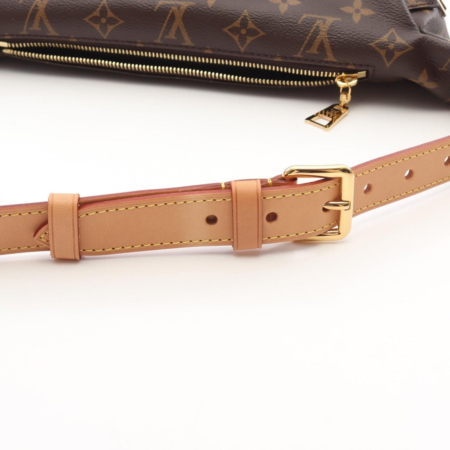 Louis Vuitton Monogram Bum Bag - Timeless Elegance