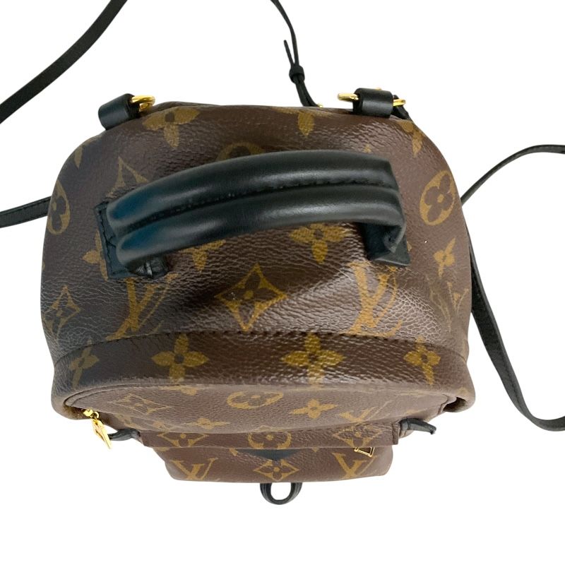 Louis Vuitton Palm Springs Mini Backpack - Exquisite PVC Craftsmanship
