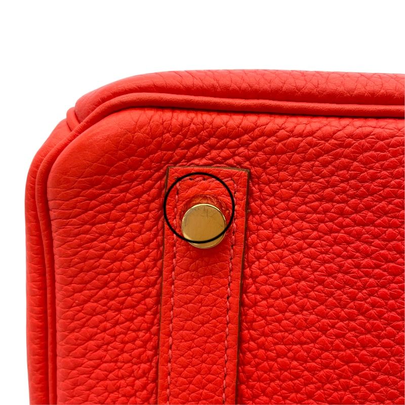 HERMES Birkin 30 Bougainvillea with Gold Hardware - Timeless Elegance