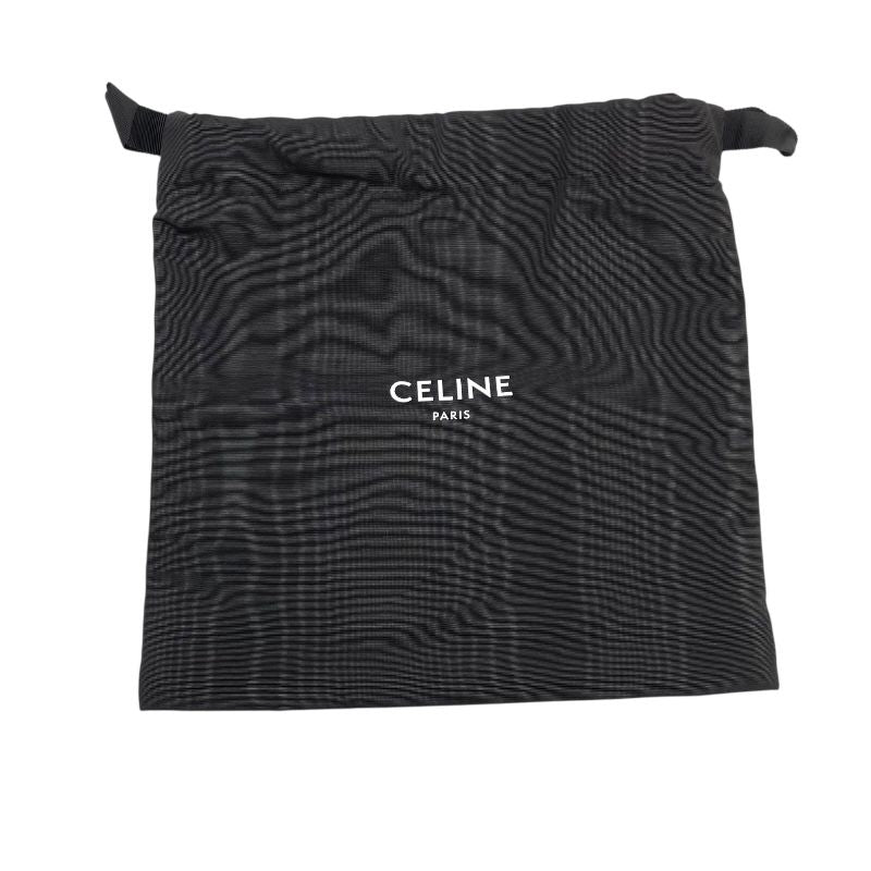 CELINE Triomphe Medium Messenger Bag in Black Canvas