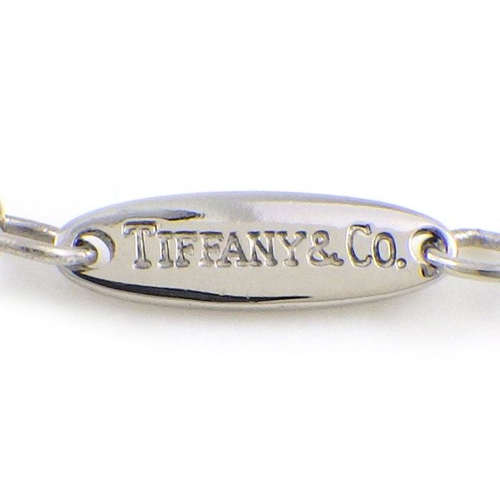 Tiffany & Co. Madonna Gemini Oval Necklace in Platinum PT950