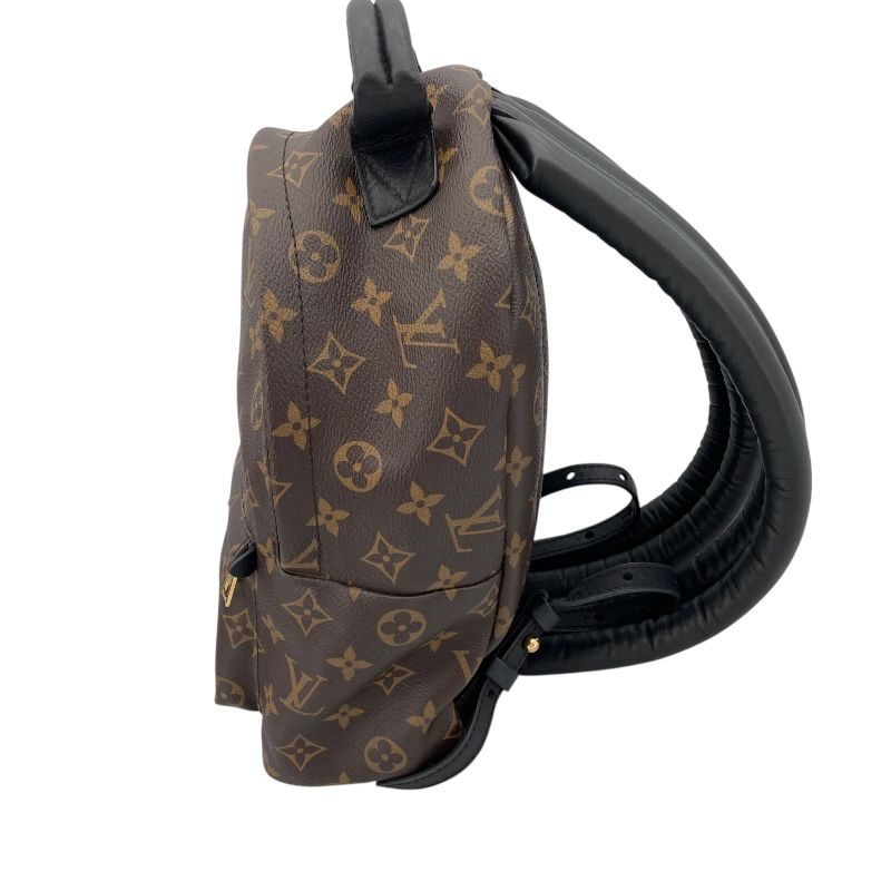 Louis Vuitton Palm Springs PM Backpack - Monogram Canvas - Brown