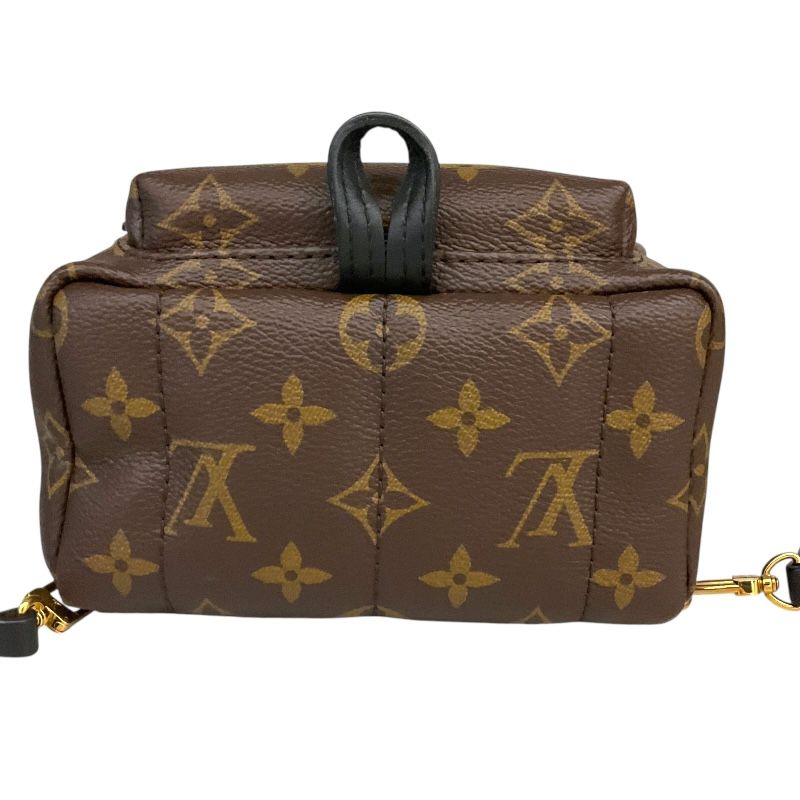 Louis Vuitton Palm Springs Mini Backpack - Exquisite PVC Craftsmanship
