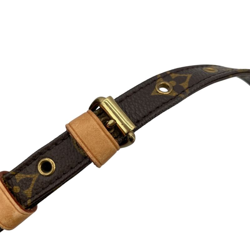 Louis Vuitton Monogram Canvas Amazon Shoulder Bag - Brown