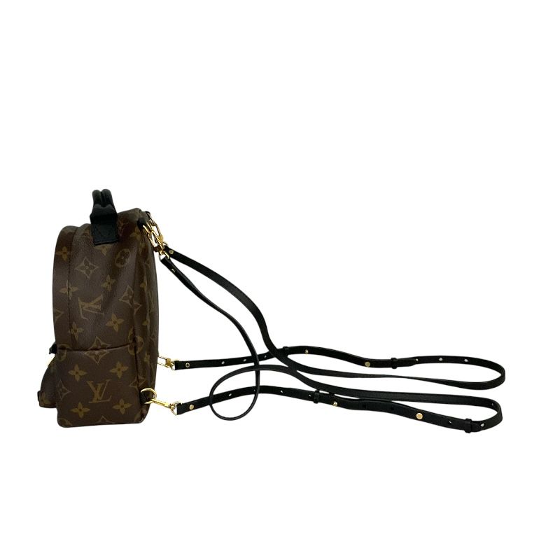 Louis Vuitton Palm Springs Mini Backpack - Exquisite PVC Craftsmanship