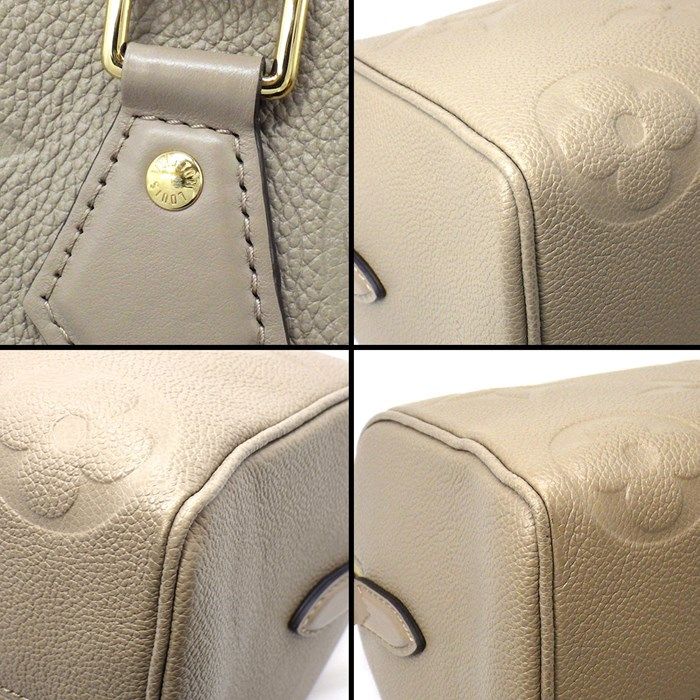 Louis Vuitton Speedy Bandoulière 25 in Turtlerail Monogram Empreinte