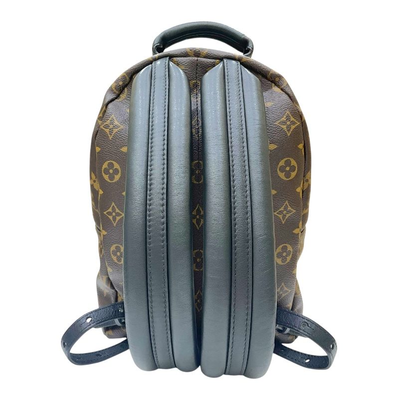 Louis Vuitton Palm Springs PM Backpack - Monogram Canvas, Brown