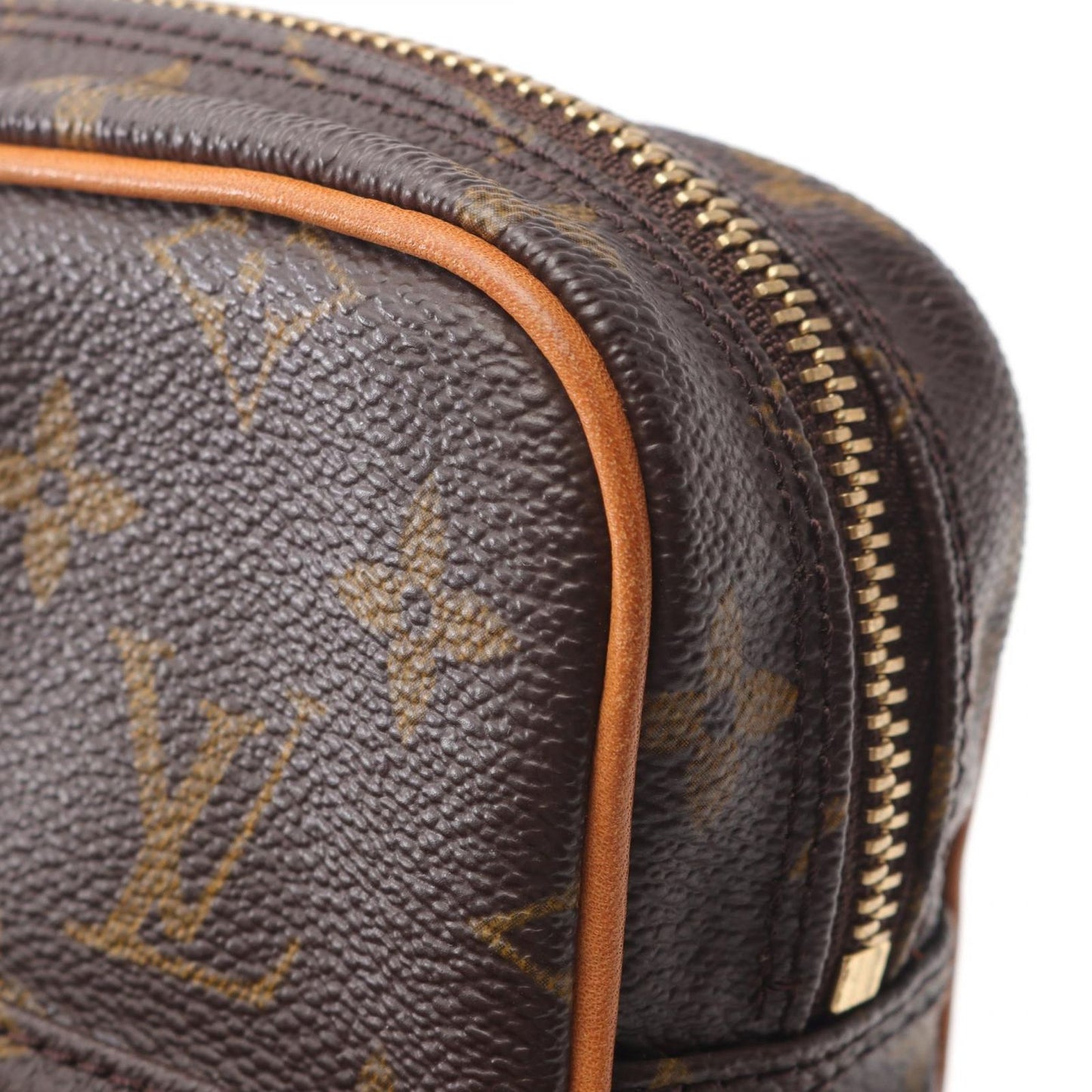 Louis Vuitton Monogram Amazon Shoulder Bag - Timeless Elegance