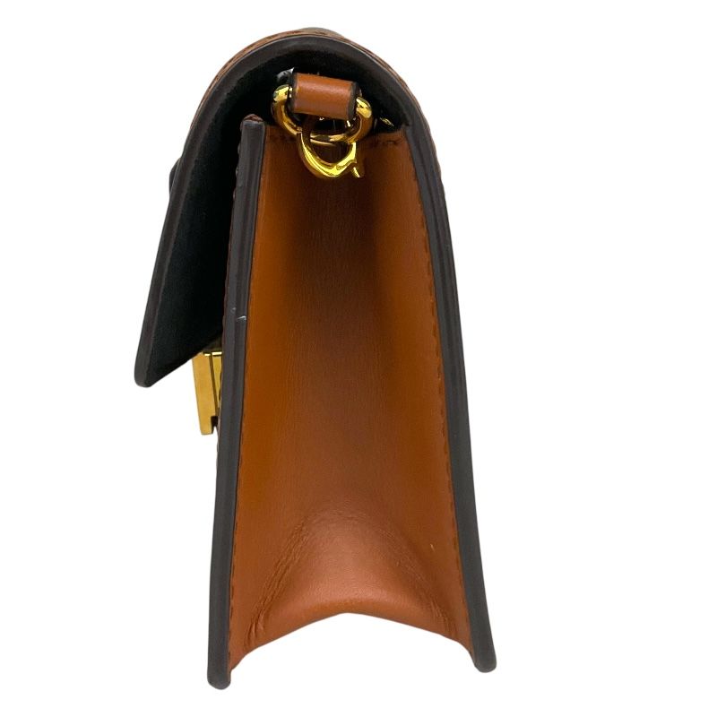 Louis Vuitton Dauphine Wallet on Chain - Timeless Elegance