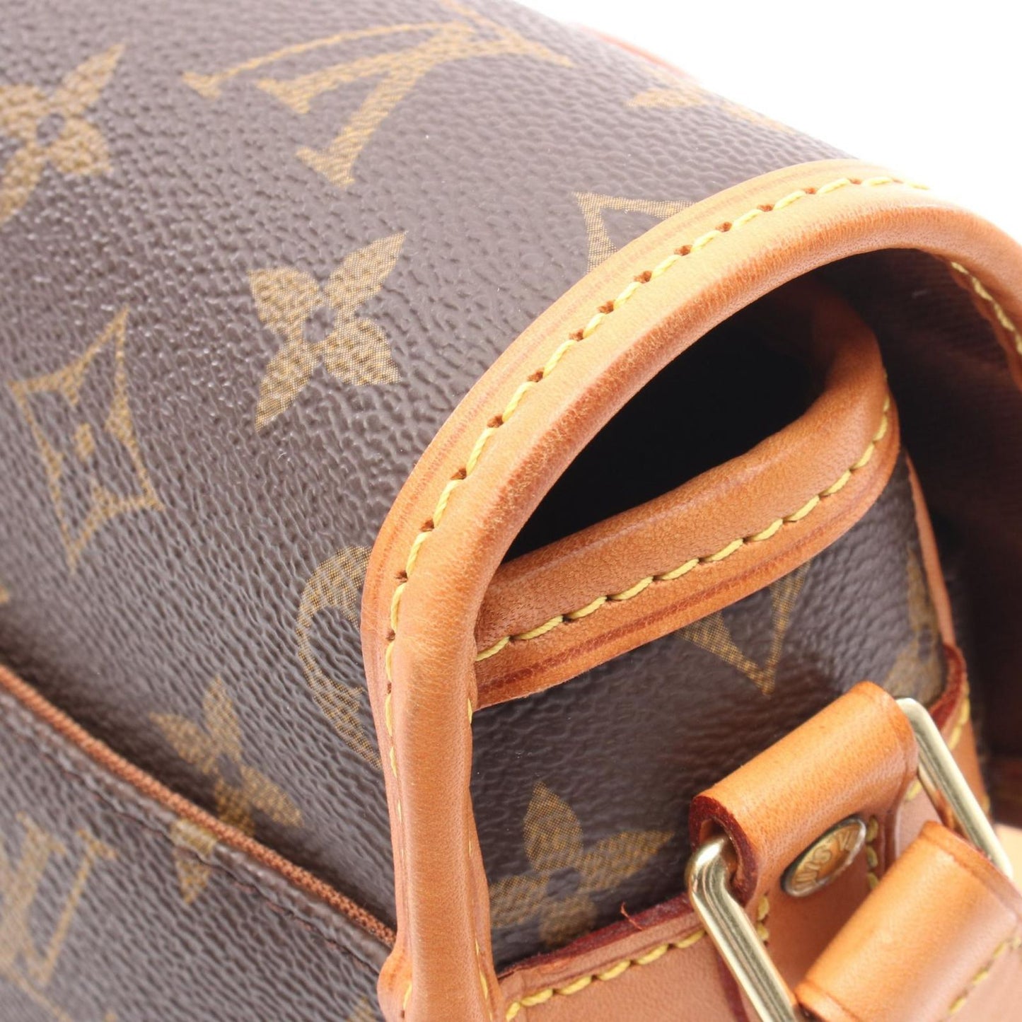 Louis Vuitton Monogram Salony Shoulder Bag - Timeless Elegance
